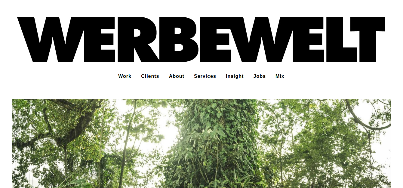 creative web agency werbewelt